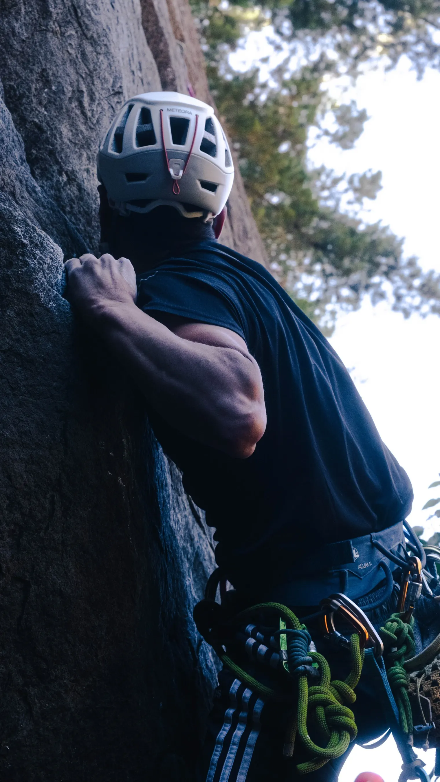 Sports — photograph 10 of 38