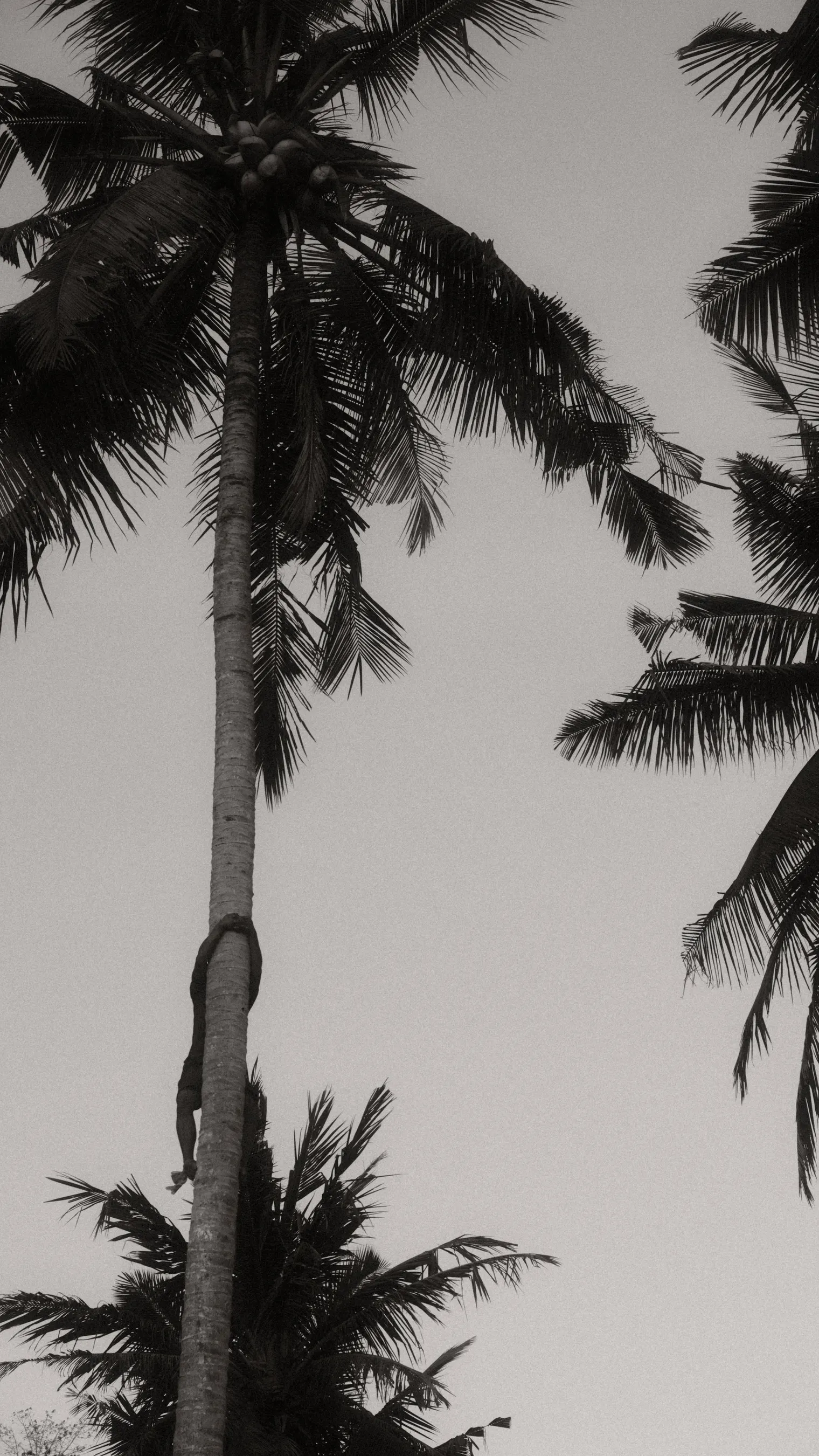 Travel and Lifestyle — photograph 24 of 34