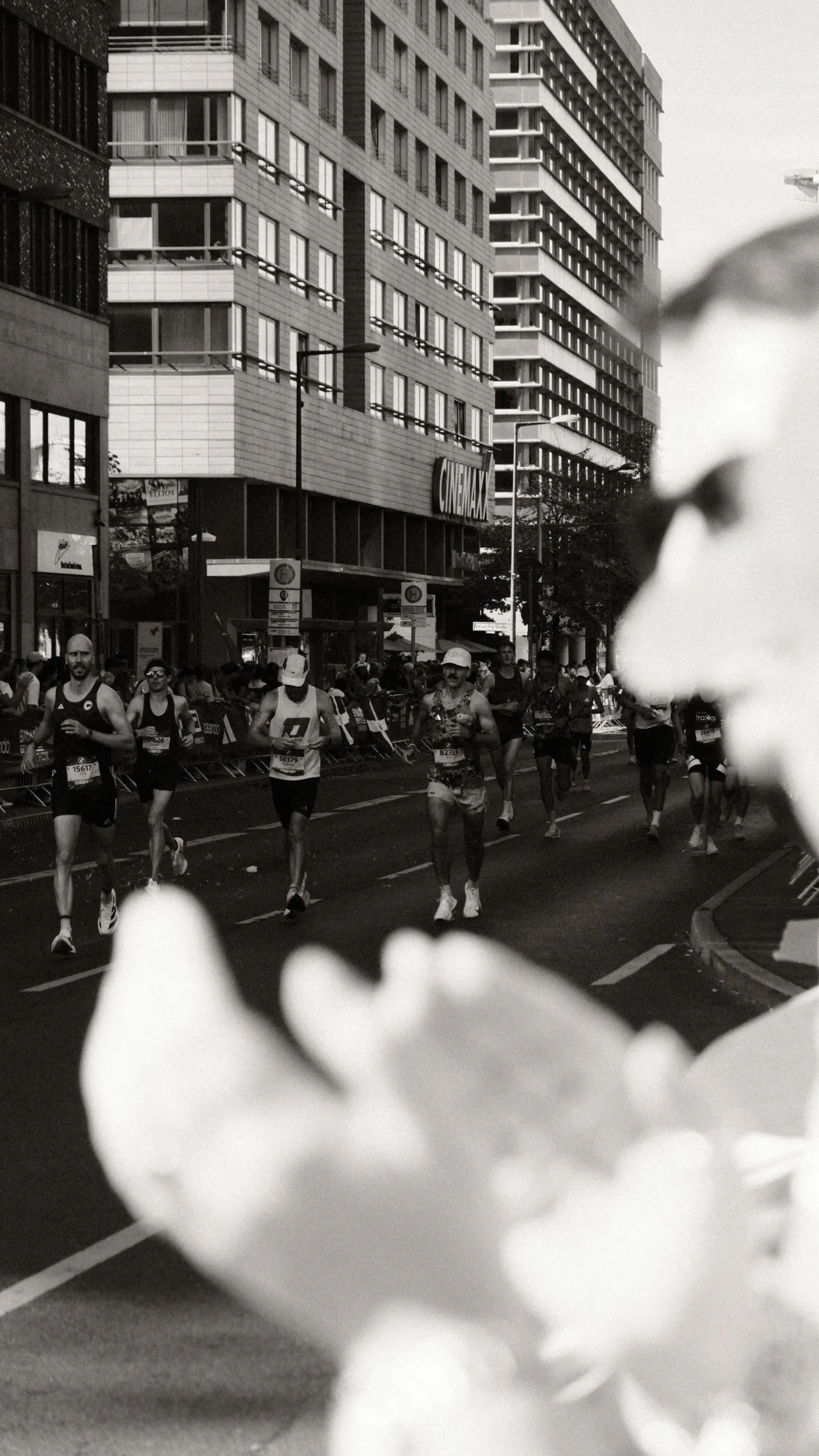 Sports — photograph 26 of 38