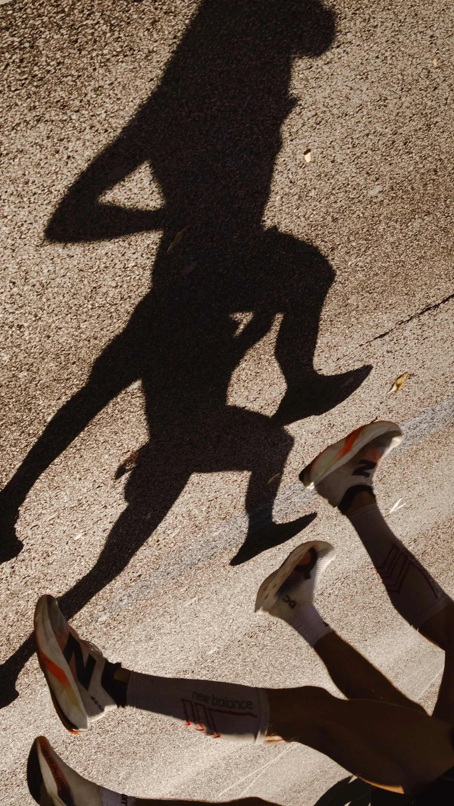 Sports — photograph 29 of 38